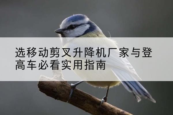 安远电动升降机厂家-选移动剪叉升降机厂家与登高车必看实用指南