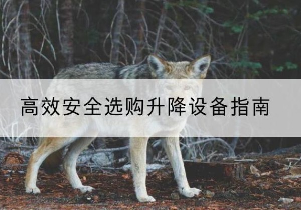 安远升降货梯厂家推荐-*安全选购升降设备指南