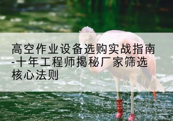 安远剪叉式升降机厂家-高空作业设备选购实战指南-十年工程师揭秘厂家筛选核心法则