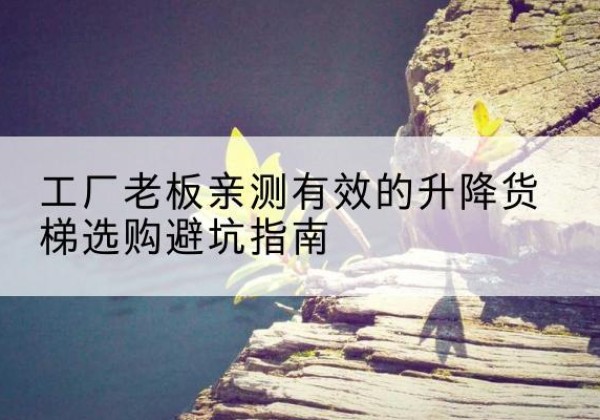 安远升降货梯怎么选-工厂老板亲测有效的升降货梯选购避坑指南